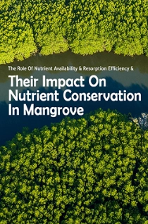 Their Impact On Nutrient Conversation Their Impact On Nutrient Conversation